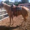 June 2011, in hubby's saddle
Taken a couple days after the other pic with my saddle